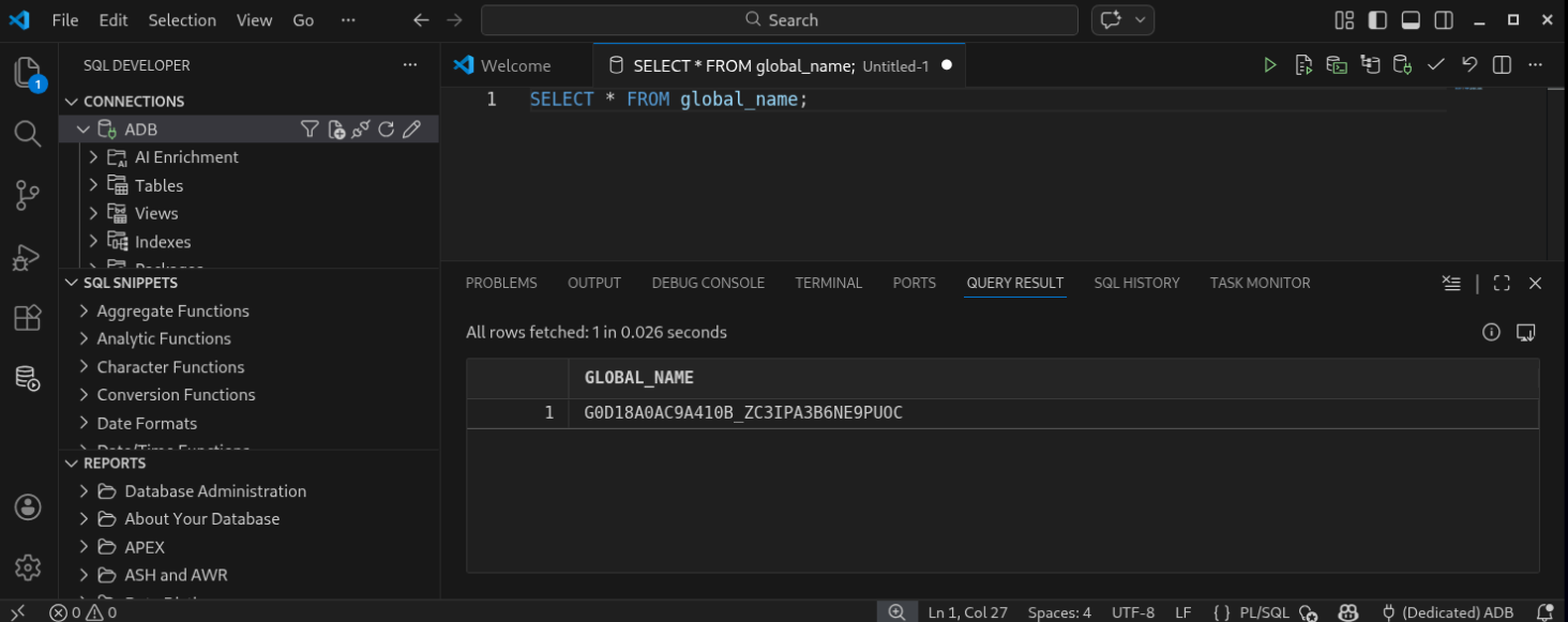 VS Code started with Extension and SQL Query Execution